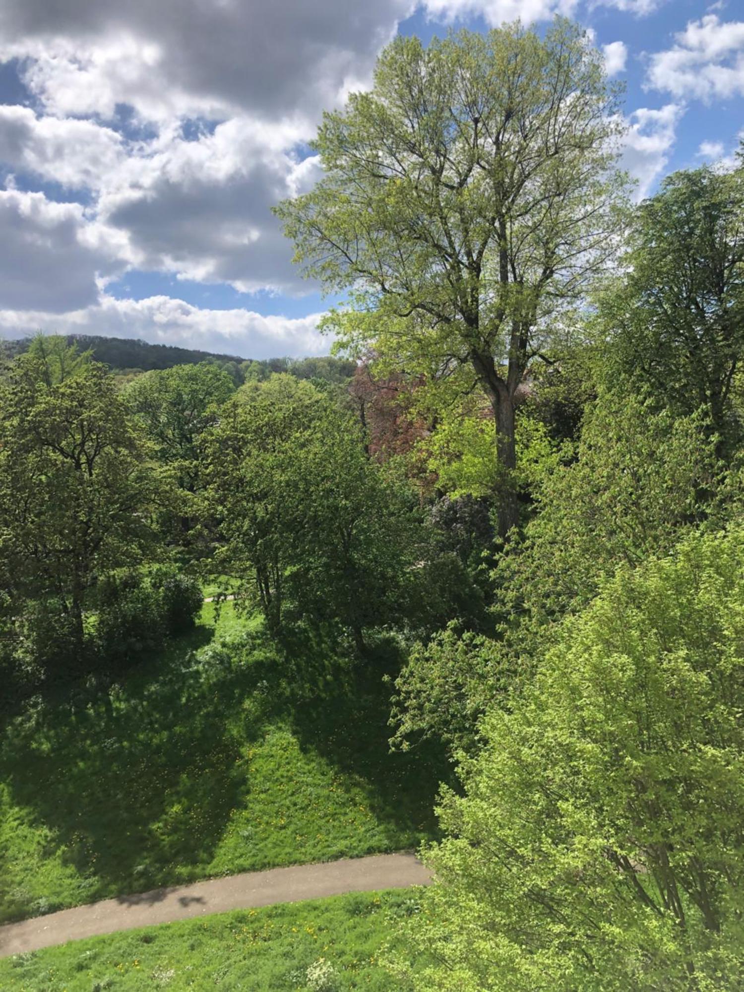 Zimmer Mit Parkblick Stuttgart Exterior photo